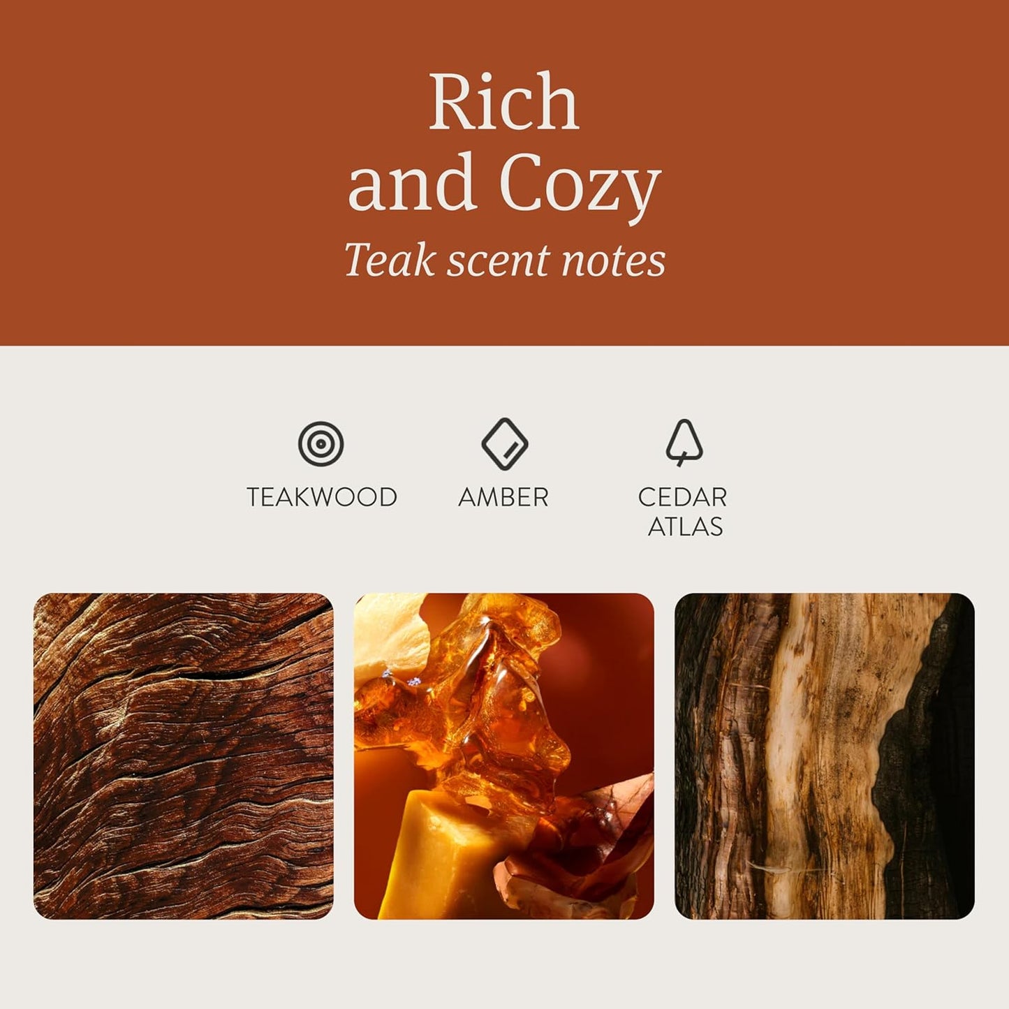 Drift Car Air Freshener - Wood Fragrance - Automotive Odor Eliminator - Long Lasting Scent - Teak Scent Refill - Pack of 3 - NO CLIP INCLUDED