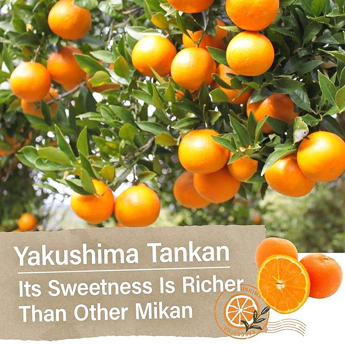 YAMASAN KYOTO UJI Japanese Candy - Mandarin Orange Flavor of Yakushima, Individually Wrapped, No Chemical Seasoning, Gluten and Fat Free Sweets (4.9OZ)