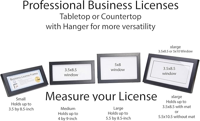 Stainless Steel Business License Frame for Professionals Holds 3.5 by 8.5 with Black Mat Includes Self Standing Easel
