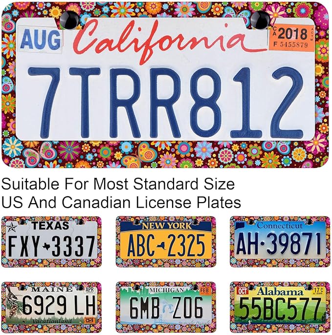 Colorful Flowers License Plate Frames - Butterflies Background, Rust-Proof Stainless Steel, Screws, and Caps Included - Personalized Cover for Women Men 12.3x6.3 Inch License Plate Holder -DATANSEN