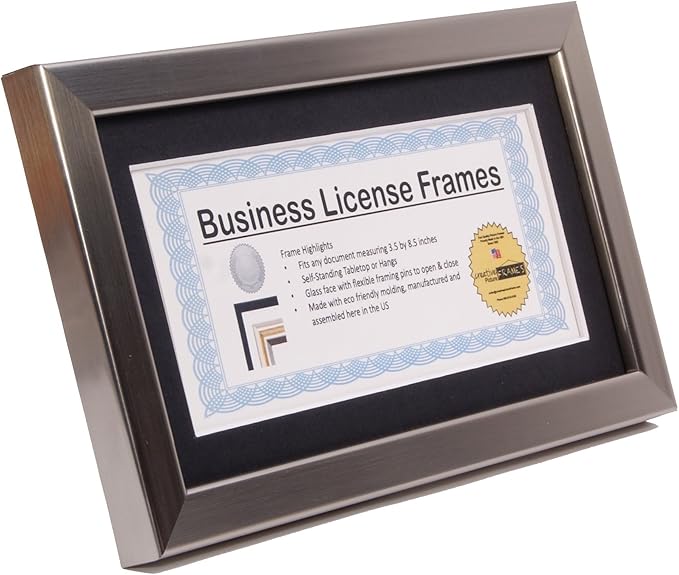 Stainless Steel Business License Frame for Professionals Holds 3.5 by 8.5 with Black Mat Includes Self Standing Easel