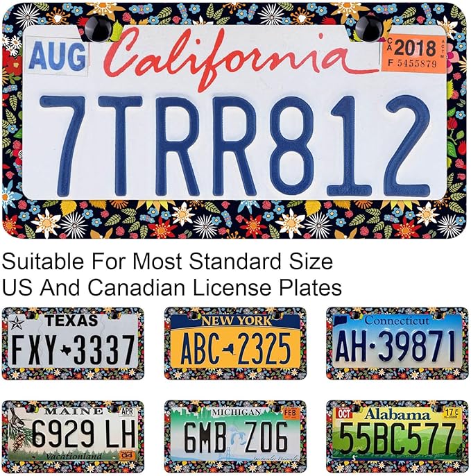 Bright Autumn Lawn License Plate Frames，Rust-Proof Stainless Steel - Free Screws, Caps Included Personalized Cover for Women Men Decorate Your Car with 12.3x6.3 Inch License Plate Holder-DATANSEN
