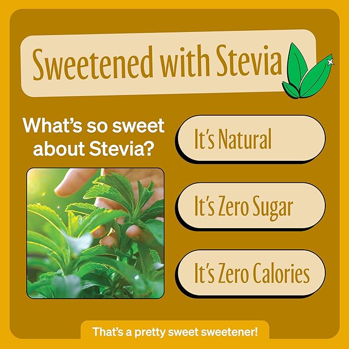 Zevia Zero Sugar Soda, Cream Soda, 12 oz Cans (24-Pack) – Naturally Sweetened, Non-GMO Project Verified, Gluten-Free, Vegan