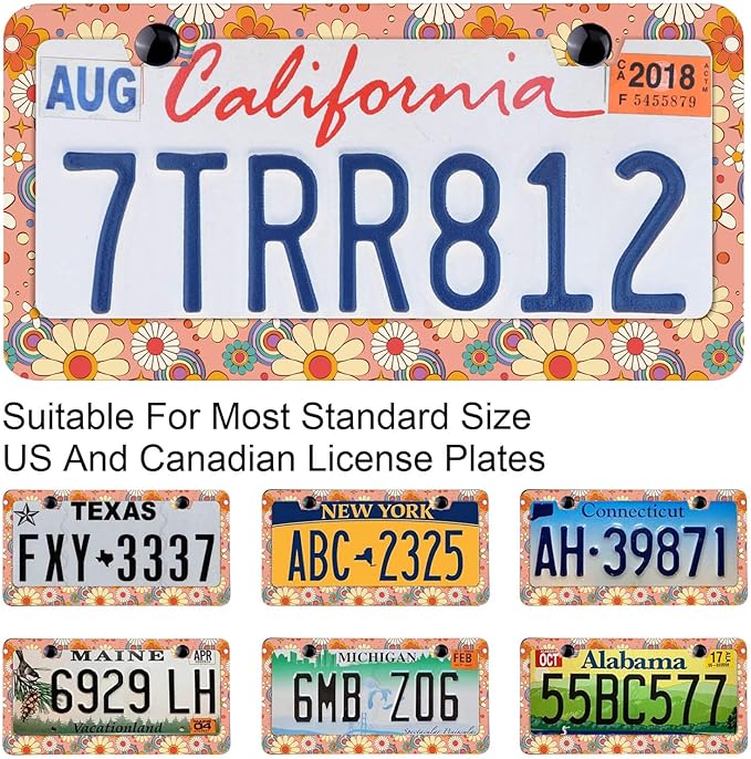 Vintage Floral Background Nostalgic Retro License Plate Frames Rust-Proof Stainless Steel Screws Included Personalized Cover for Women Men Decorate Car with 12.3x6.3 Inch License Plate Holder-DATANSEN