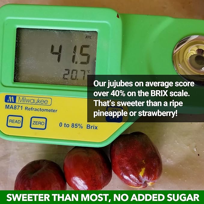 USDA Organic California Grown Pure Jujube Product | JUJUME Crisps | Sweet Jujube Chips | ZERO Added Sugar or Preservatives | All-Natural Healthy Snack | 4-pack 6 oz bags