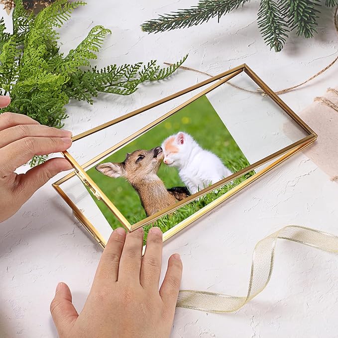 JUXYES 2 Pack Tabletop Business License Frame Brass License Certificate Display Frame, Double Glass Floating Diploma Frames, Desktop Golden Graduation Frames for 4x9 and 3.5x8.5 Certificate Business