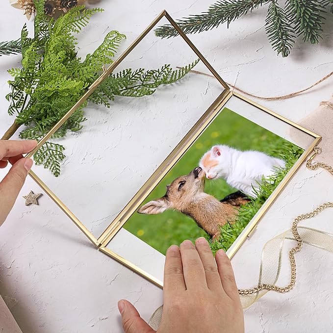 JUXYES 2 Pack Wall Hanging Business License Frame Brass License Certificate Display Frame, Double Glass Floating Diploma Frames, Wall Mount Golden Graduation Frames for 4x9 and 3.5x8.5 Certificate Business Licenses