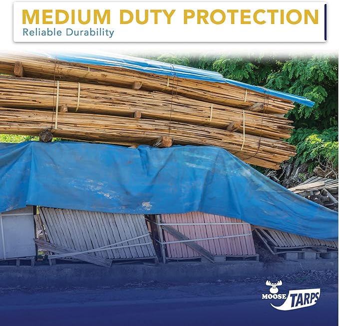 12' x 20' Waterproof Tarp, Medium Duty Reversible Blue/Silver, Multipurpose Indoor and Outdoor Tarps for Tents, Wood Cover, Furniture, Car, Boat, Pool, Tear Resistant, Blue