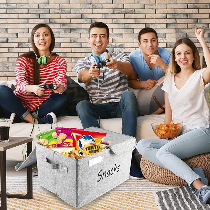 Snack Organizer for Pantry Shelf, Fabric Snack Organizer with Double Lids & Handles, Large 2-Compartment Snack Bin Snack Holder, Snack Basket for Chips Packets, Snack Bar Station Decor-Grey