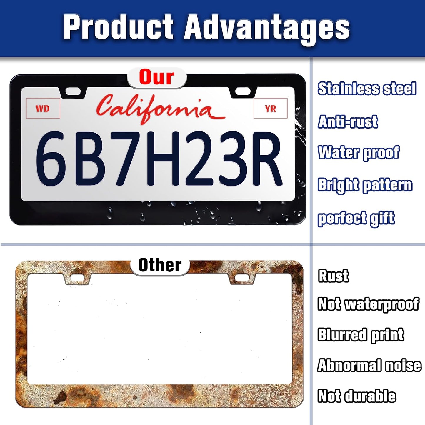 Blessed License Plate Frame Beautiful Butterfly Flowers License Plate Holders Funny Stainless Steel Auto Accessory Bracket 2 Hole with Screws Universal Us Car License Plate Frames 6x12 Inch