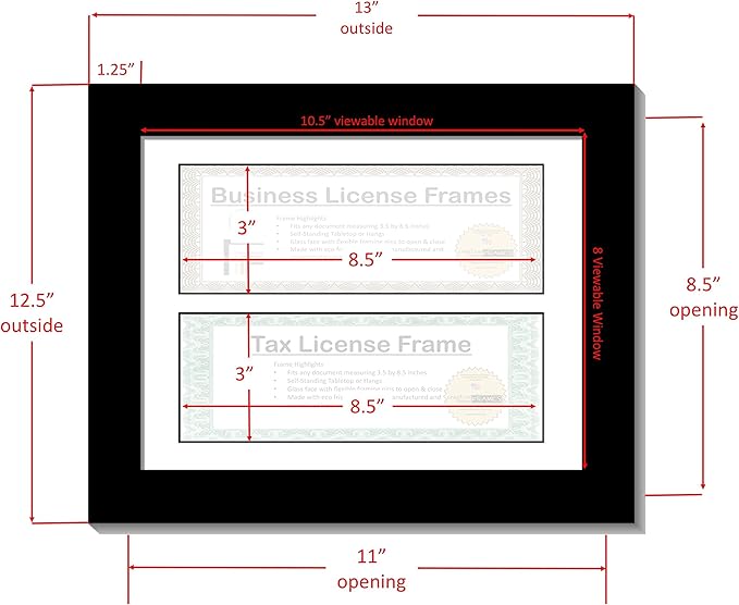 Creative Picture Frames Candy License (Sainless Steel-White Mat, Double License)