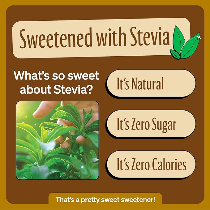 Zevia Zero Sugar Soda, Creamy Root Beer, 12 oz Cans (24-Pack) – Naturally Sweetened, Non-GMO Project Verified, Gluten-Free, Vegan