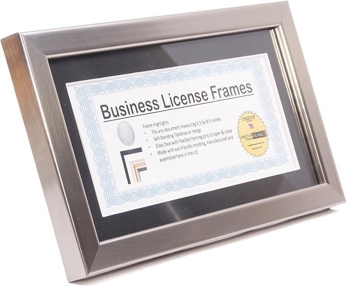 Stainless Steel Business License Frame for Professionals Holds 3.5 by 8.5 with Black Mat Includes Self Standing Easel
