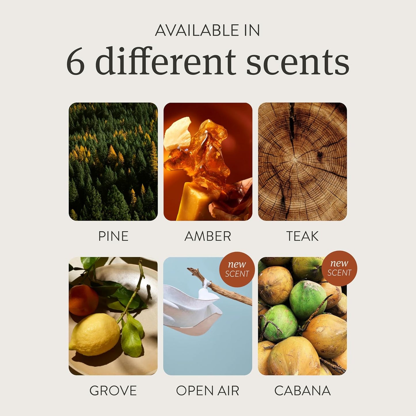 Drift Car Air Freshener - Stone Air Freshener - Car Odor Eliminator - Grove Scent Refill - Pack of 3