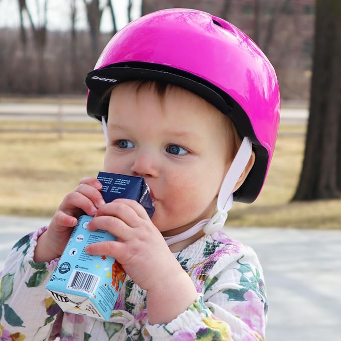 Willa's Organic Kid's Oat Milk with 8g Protein & 240g Calcium, Plant-Based Milk for Kids, Dairy-Free, Low Sugar, 2g Fiber – 8.25 oz, 16 Pack