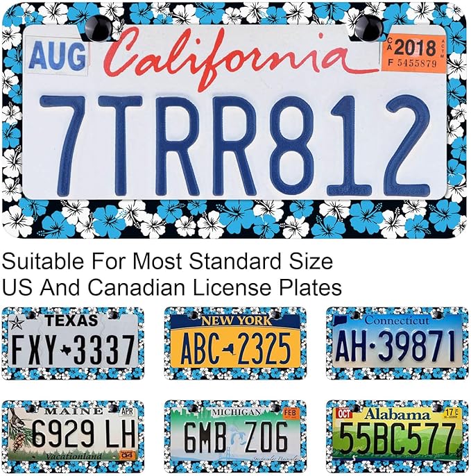 Hawaiian Flower Hibiscus License Plate Frames, Rust-Proof Stainless Steel Screws, Caps Included Personalized Cover for Women and Men Decorate Car with 12.3x6.3 Inch License Plate Holder -DATANSEN
