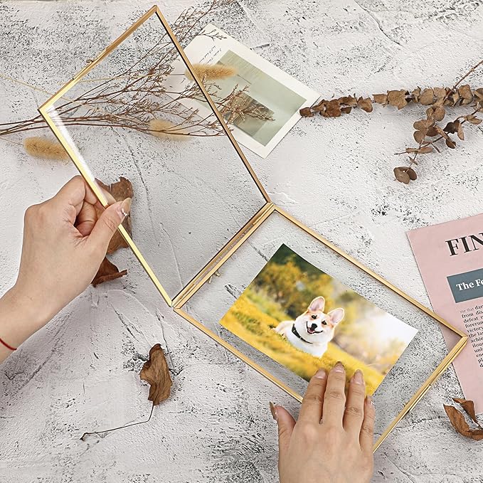 JUXYES 2 Pack Tabletop Business License Frame Brass License Certificate Display Frame, Double Glass Floating Diploma Frames, Desktop Golden Graduation Frames for 5.5x8.5 Certificate Business Licenses