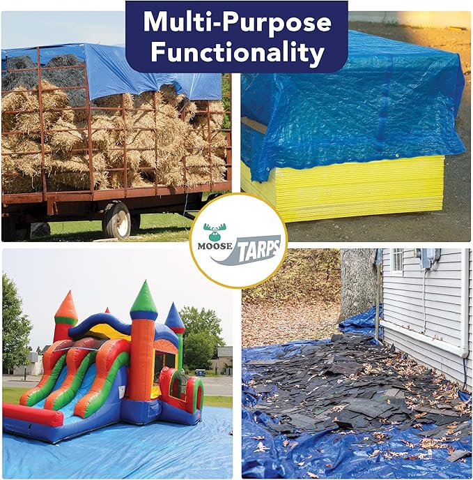 12' x 20' Waterproof Tarp, Medium Duty Reversible Blue/Silver, Multipurpose Indoor and Outdoor Tarps for Tents, Wood Cover, Furniture, Car, Boat, Pool, Tear Resistant, Blue