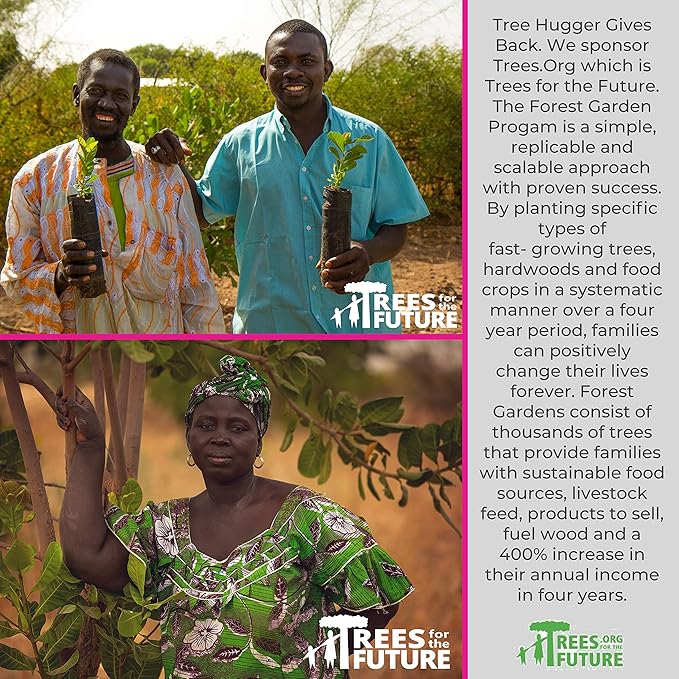 Tree Hugger Bubble Gum Filled Pops in Stand Up Resealable Bags, 6 Bags (12 Pops Per Bag).