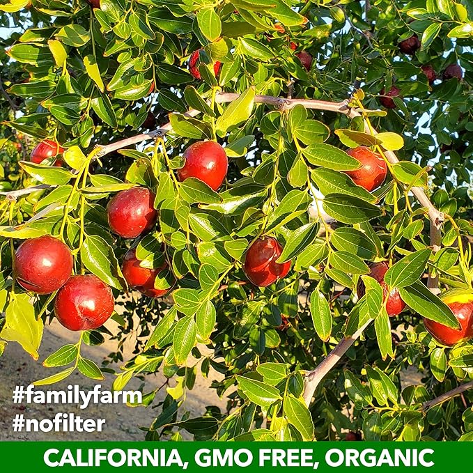 USDA Organic California Grown Pure Jujube Product | JUJUME Crisps | Sweet Jujube Chips | ZERO Added Sugar or Preservatives | All-Natural Healthy Snack | 10-pack *6* oz. bags