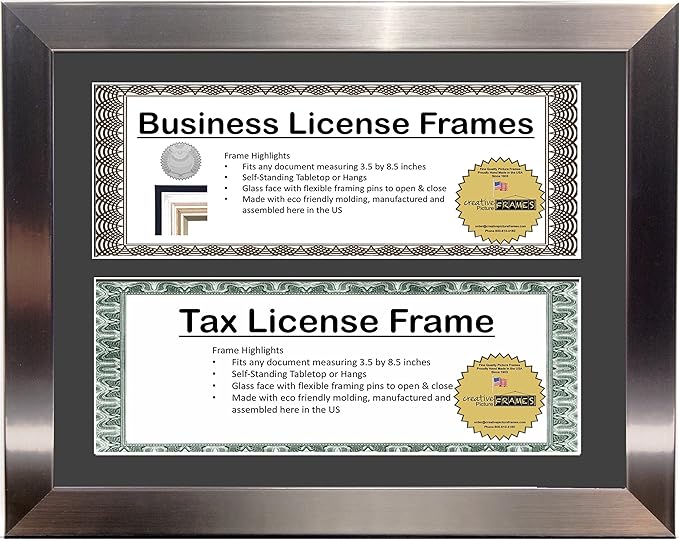 Creative Picture Frames Dl8.5X11Ss-B Stainless Steel Finish Double Business License Frame with Two 3X8.5-Inch Opening Mat Including Easel Stand and Wall Hangers