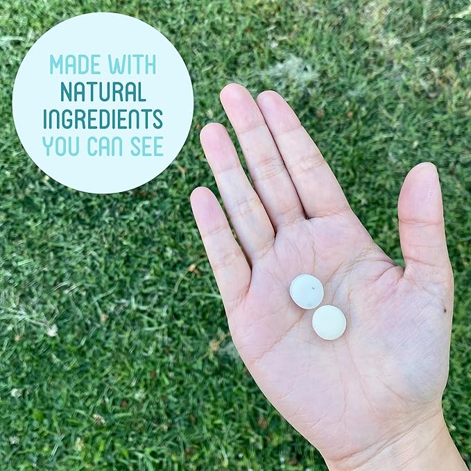 VerMints Organic Breath Mints Wintergreen - Real Long-Lasting Refreshment, Travel Size Tin - Non-GMO, Vegan, Nut Free, Gluten Free & Kosher Organic Candy Mints- .63oz/18g Tins (Pack of 12)