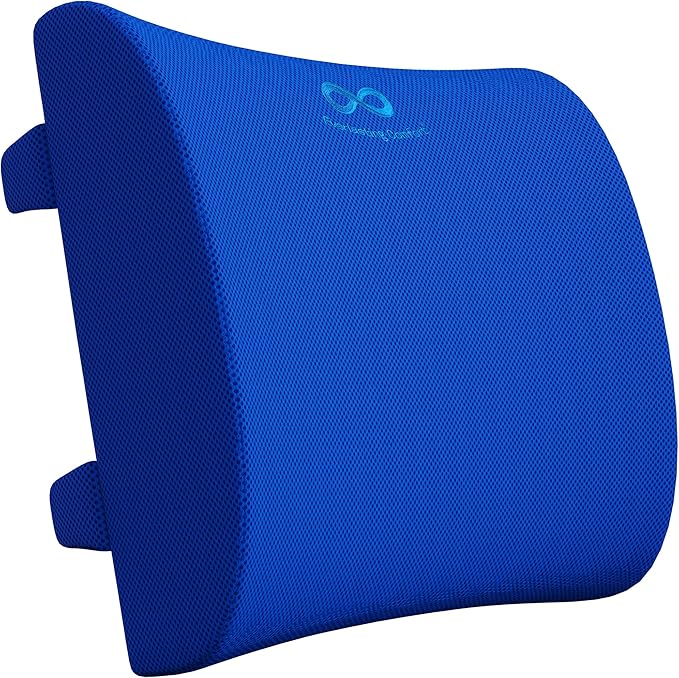 Everlasting Comfort Lumbar Support Cushion for Car Seat - Memory Foam Back Cover for Car - Lumbar Support Promotes Better Posture, Back Pain Relief - Ideal for Driving