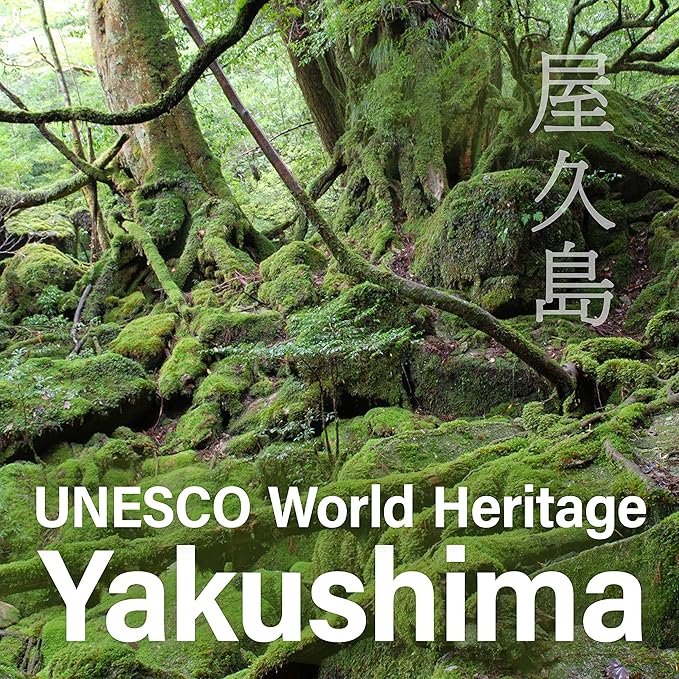 YAMASAN KYOTO UJI Japanese Candy - Mandarin Orange Flavor of Yakushima, Individually Wrapped, No Chemical Seasoning, Gluten and Fat Free Sweets (4.9OZ)